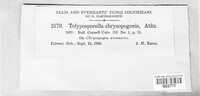 Image of Tolyposporella chrysopogonis